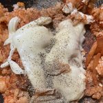 [댓글부탁해] 김치<b>볶음</b>밥 맛있어보임?
