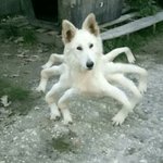 [댓글부탁해] 내친구 왜이러는지 아는사람?