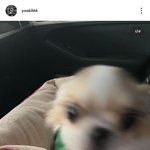 [몬스타<b>엑스</b>] 기현 인스타 + 공카