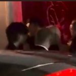 리사하고 <b>보검</b>이가 뷔 너무 걱정 안 했으면 좋겠네