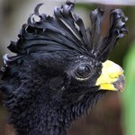 외계에서 온듯한 희귀 <b>생물</b>들