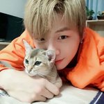 냥이<b>집사</b>인 연예인