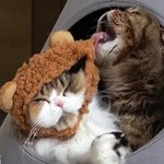 설렘반+ 편안함 반 주는 사람이 좋아