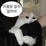 [댓글부탁해] 학교에서 있었던 <b>설레</b>는 썰 풀고가자