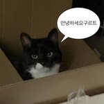[19] 짝남 <b>외모</b>순위 밸런스게임