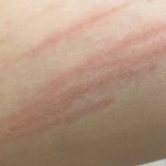 [댓글부탁해] 아 나 좀 <b>호러</b>임