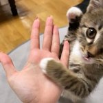 [댓글부탁해] 가슴 <b>보완</b> 옷 머입어야함