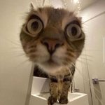 화학2 배<b>운애들</b>아