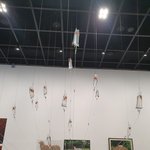 링거팩<b>안</b>에 <b>전시</b>된 금붕어.. 좁은공간에서도 잘사나요??