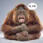 팔뚝부각 없는 <b>크롭</b>티