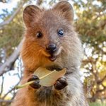 이 동물 넘 귀<b>엽당</b>