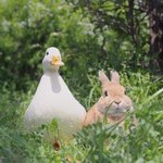 얘들아 너희 <b>이</b> <b>사실</b> 앎?