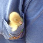 요새 남돌 노래는 왤케 대중성이 없을까