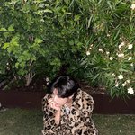 진짜 개잘생겼네