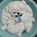 개 한심한 얘기 들을 사람