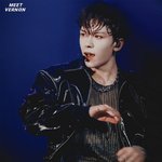 <b>버논</b> 얼굴 대단하지 않냐