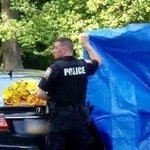 <b>뒷좌석</b> 2살 깜빡하고 출근한 美 아빠, 아들 죽자 극단 선택