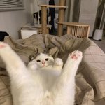 금요일 <b>만쉐이</b>