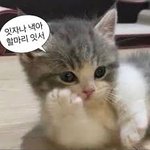 [댓글부탁해] “내가 얘를 좋아하는구나”를 <b>언제</b> 깨닫게 됐어?