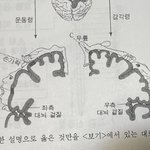 <b>생명</b> 이 그림 쫌 징그럽지 않냐