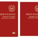 에스파도 외교<b>관여</b>권 받냐
