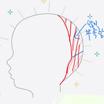 [댓글부탁해] 이런 두상이면 머리 어떻게 <b>묶음</b>