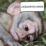 [댓글부탁해] 내 짝남 같은반친구가 좋아한대