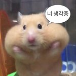 [댓글부탁해] 고딩중에 학교에서 성적 장학금 받아본애 들어<b>와바</b>