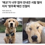 [모두드루와] <b>인절미</b>