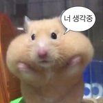 [드루와] 바람<b>불때</b>마다 개빡침