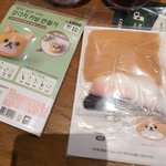 [19] 나랑 내 남자친구랑 만든 <b>양모</b>펠트 볼 사람