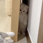 [NCT드림] <b>유튜브</b> 보다가 런지니 발견함