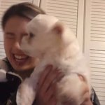<b>리정</b> 이랑 강아지