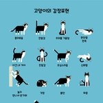 [댓글부탁해] 얘들아 렌즈 사본애들 들어와봐