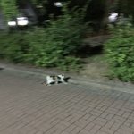 내 답답한 심정 좀 들어줄 사람?