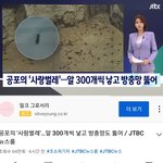 [드루와] 너네 사랑<b>벌레</b> 봣냐