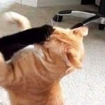 내 친구 트위터에서 몸파는 것 같아