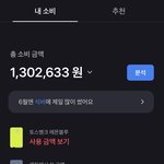 너네 토스 6월 <b>지출</b> 얼마야?