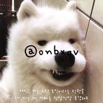 [NCT드림] 에이프릴 어학원 <b>음성</b>뜬거 개웃기다ㅋㅋㅋㅋ