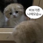 시험기간만 되면 밤새게 됨
