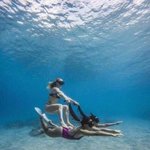 4세대 원탑은 아이브일까 에스파일까