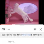 [군대] 전에 호비가 올렸던 고양이