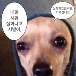 나 첫눈에 반하는 취향 ㅈㄴ특이함