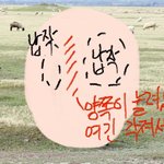 나 뒷통수 모양 좀 신기하게 생긴 듯