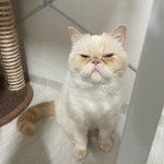 볼일보로 나가야하는데