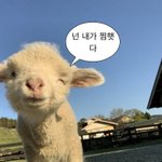 [<b>댓글</b>부탁해] 오늘 번호 <b>두</b>번 따였당