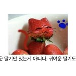 내 짝남 스토리 이거 걍 <b>장난</b>이겠지