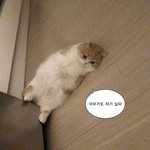 <b>만사</b>가 귀찮다