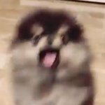 돌판 악개 <b>TOP</b>3 - 지민 해찬 현재 팬들