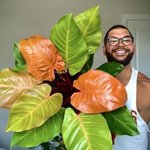 생활 공간에 존재감 확실한 <b>식물</b>들